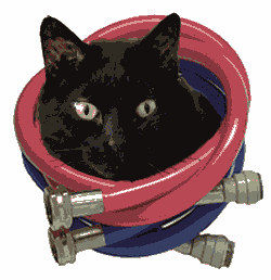 Image for Des Dillon story. A Cat in some washing machine hoses